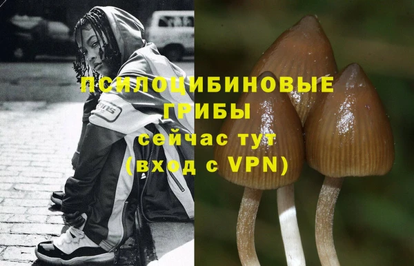 винт Нязепетровск