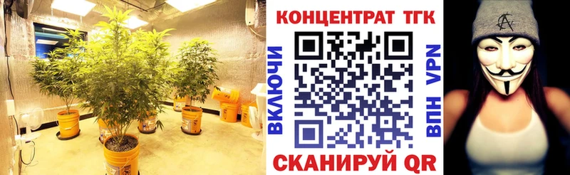 ссылка на мегу ССЫЛКА  Томари  ТГК концентрат 